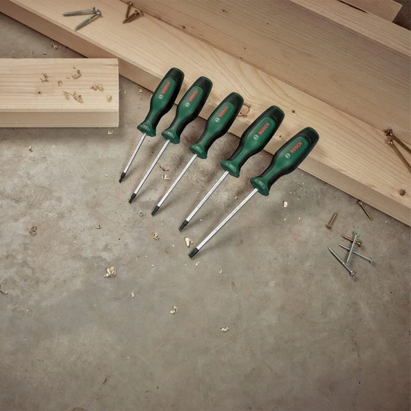 Bosch Home And Garden Torx Tornavida Seti 5 Parça - Resim 4