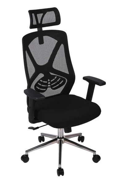 Ofisbazaar Dolphin Siyah Fileli Yönetici Koltuğu | Ergonomik Başlıklı Ofis Koltuğu Siyah Fileli ürün görseli 1
