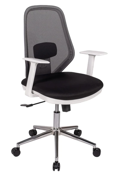 Ofisbazaar Dali Beyaz Fileli Çalışma Koltuğu | Ergonomik Şef ve Toplantı Koltuğu Siyah fileli ürün görseli 1