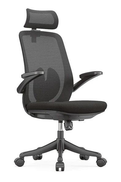 Ofisbazaar Sakura Ergonomik Fileli Yönetici Koltuğu | Başlıklı Ofis ve Çalışma Koltuğu Siyah ürün görseli 1