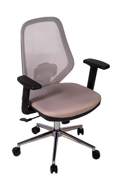 Ofisbazaar Dali Fileli Çalışma Koltuğu | Ergonomik Şef ve Toplantı Koltuğu Gri ürün görseli 1