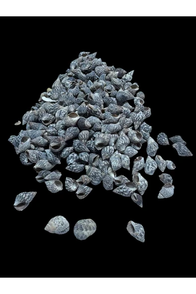 stonechem Deniz Kabukları 100 Gr NO-21-NASSADERDER ürün görseli 1