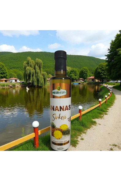 ANANAS SİRKESİ 500ml - Resim 2
