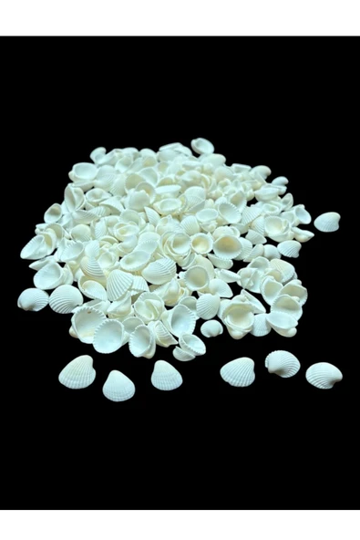 stonechem Deniz Kabukları 100 Gr NO-3-CLAMROSE ürün görseli 1