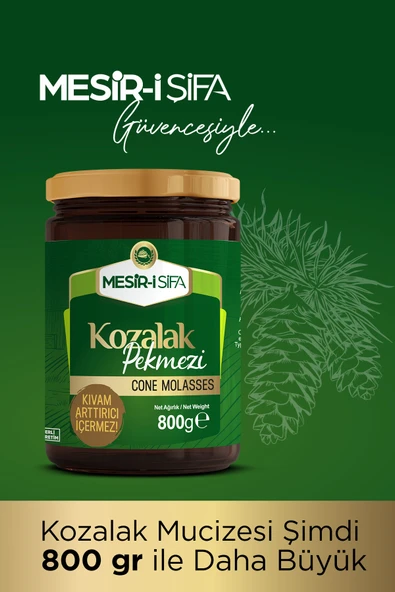 Kozalak Pekmezi 800g - Resim 2