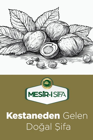 Kestane Pekmezi 800g - Resim 6