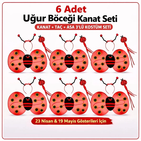 639lı Uğur Böceği Kostüm Seti – Kanat Taç Asa ürün görseli 1