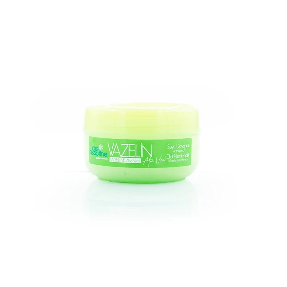 Cire Aseptine Aloe Vera Özlü Vazelin 150 Ml ürün görseli 1