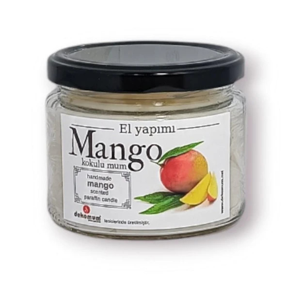 Fitilli Kokulu Kavanoz Mum Mango ürün görseli 1