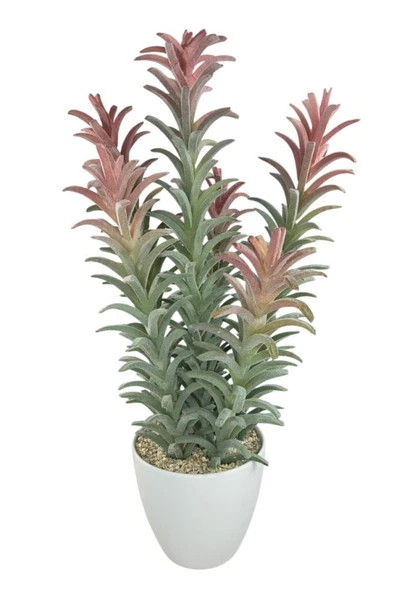 Yapay Kaktüs Ağacı Pembe Yeşil Renk - Beyaz Saksıda Yapay Bitki 55*25cm ürün görseli 1