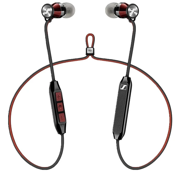 Momentum Free Special Edition ürün görseli 1