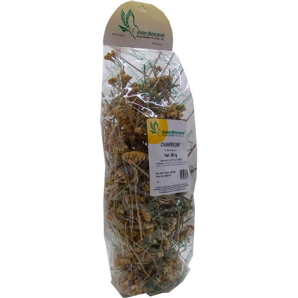 Doğal Civanperçemi Otu 50 Gr Paket - Resim 2