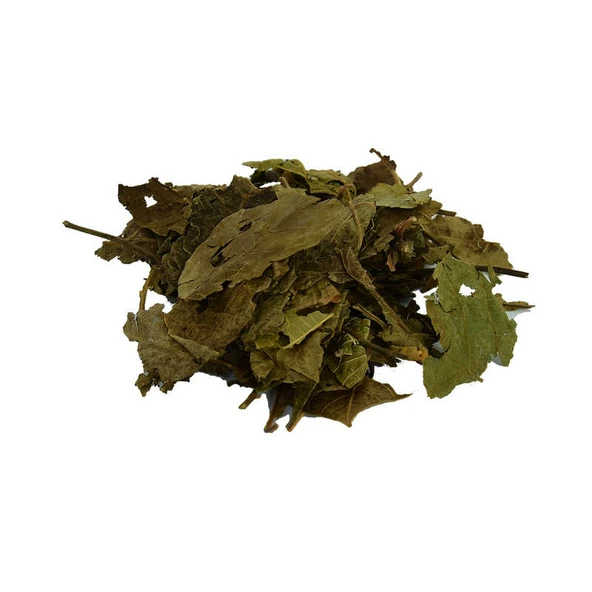 Ceviz Yaprağı Doğal 100 Gr Paket ürün görseli 1