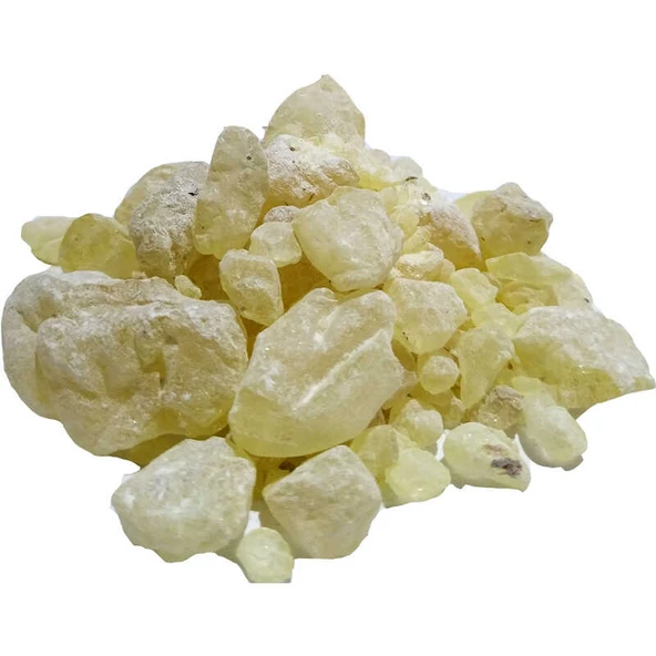Sandz Sakızı Doğal 100 Gr Paket ürün görseli 1