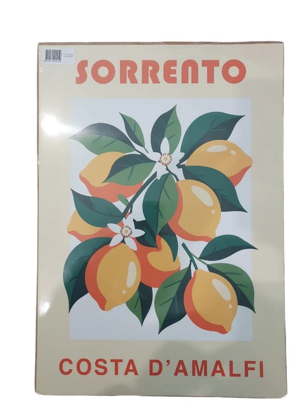 Ekstrafix Poster Tsp0040-A3 ürün görseli 1