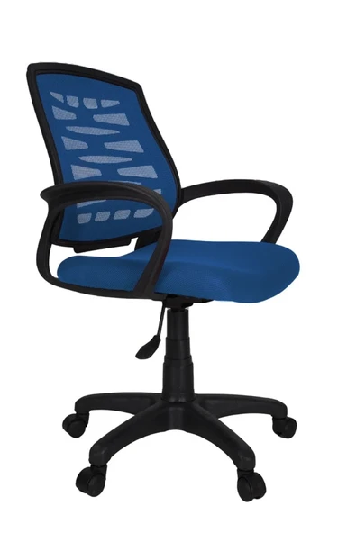Gizmo Ergo Fileli Bilgisayar Ofis Çalışma Koltuğu Fk1000 Mavi ürün görseli 1
