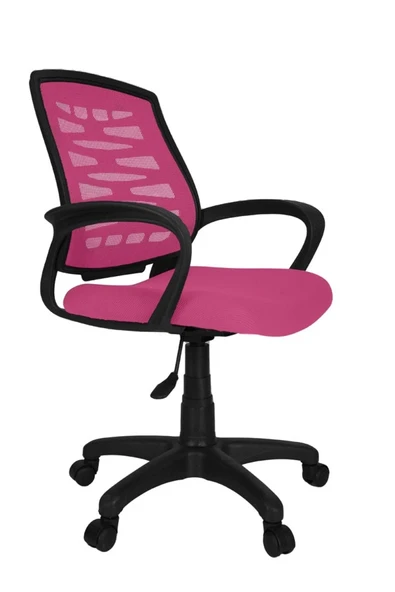 Gizmo Ergo Fileli Bilgisayar Ofis Çalışma Koltuğu Fk1000 Pembe ürün görseli 1