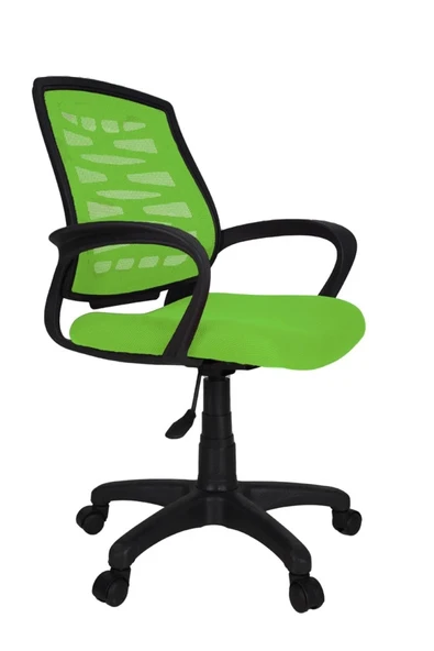 Gizmo Ergo Fileli Bilgisayar Ofis Çalışma Koltuğu Fk1000 Yeşil ürün görseli 1