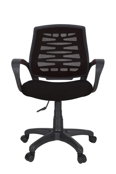 Gizmo Ergo Fileli Bilgisayar Ofis Çalışma Koltuğu Fk1000 Siyah ürün görseli 1
