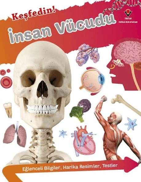 Keşfedin! İnsan Vücüdu ürün görseli 1