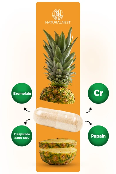 Naturalnest Bromelain Plus 60 Kapsül - Resim 3