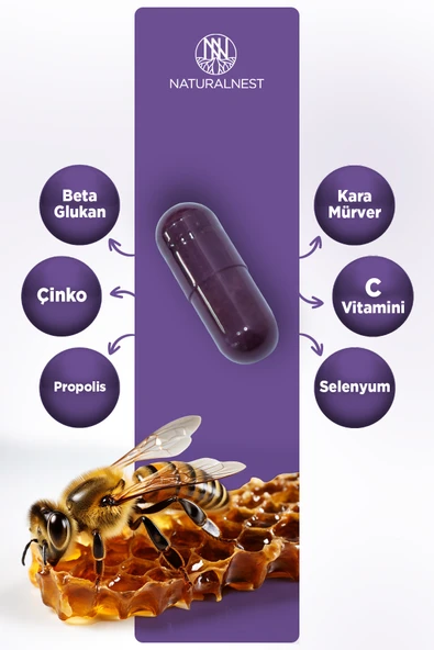 Naturalnest STD Immy Sambucus 20 Kapsül ( TEKLİDİR ) - Resim 3