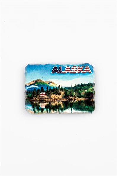 ABD Alaska Temalı Kırık Magnet - Resim 2
