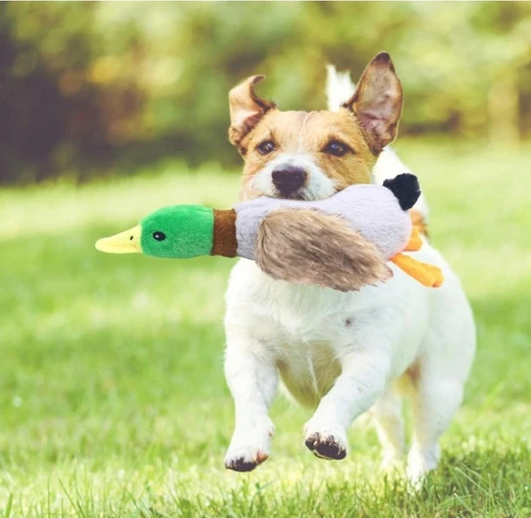 Vexor Sesli Ördek Şekilli Peluş Köpek Oyuncağı ürün görseli 1