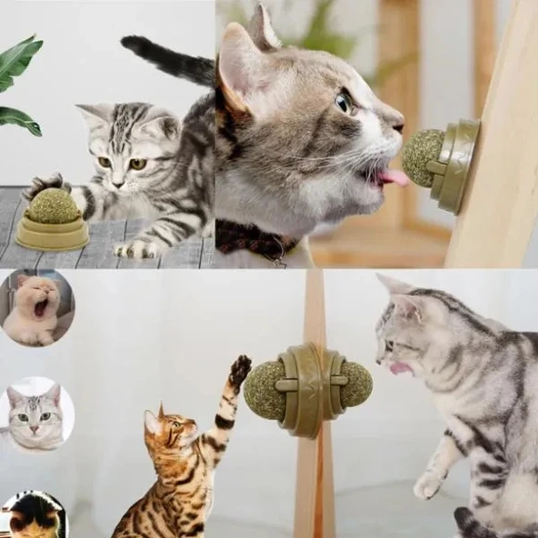 Vexor Kedi Nanesi Oyun Topu ürün görseli 1
