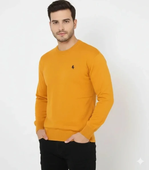 Vexor Erkek Bisiklet Yaka Nakış Işlemeli Triko Kazak Yumuşak Dokulu Pamuklu Ince Dokuma, Uzun Kollu Rahat Regular Kalıp ürün görseli 1