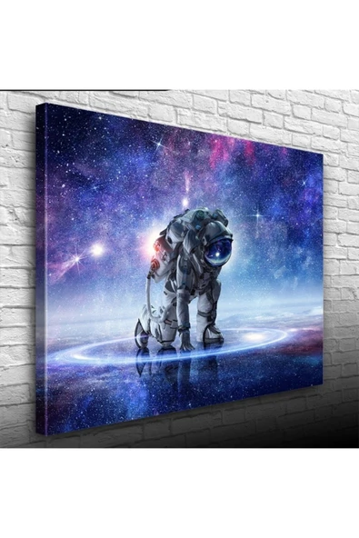 Vexor Astro Canvas Tablo (50x70) ürün görseli 1