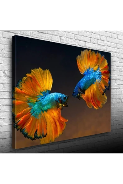 Vexor Beta Balıkları Canvas Tablo (50x70) ürün görseli 1