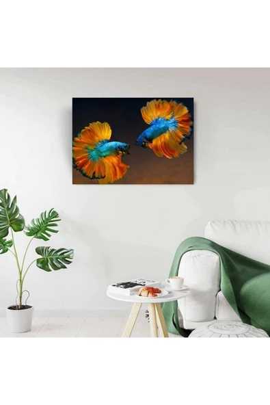 Vexor Beta Balıkları Canvas Tablo (50x70) - Resim 3