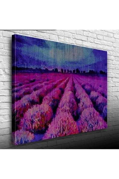 Vexor Mor Çiçek Tarlası Canvas Tablo (50x70) ürün görseli 1