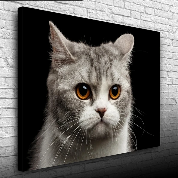 Vexor Şirin Gri Kedi Kanvas Tablo 50 x 70 ürün görseli 1
