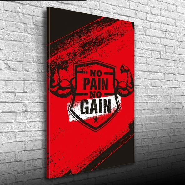 Vexor No Pain No Gain Poster Kanvas Tablo 50 x 70 ürün görseli 1