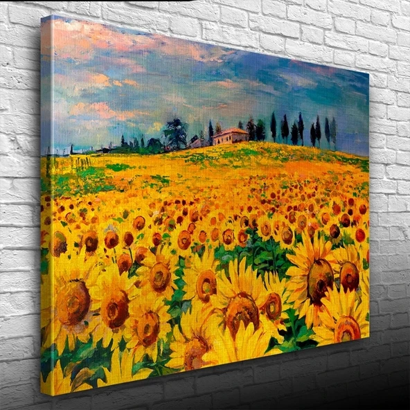 Vexor Ayçiçeği, Gündöndü, Günebakan Tarlası Kanvas Tablo 50 x 70 ürün görseli 1
