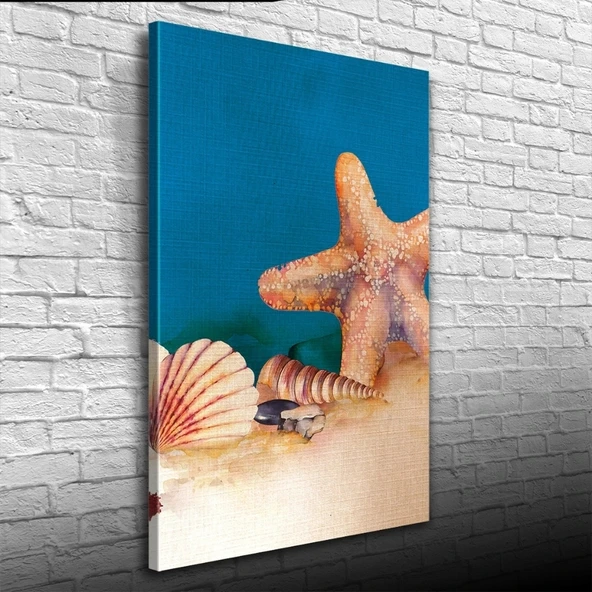 Vexor Deniz Yıldızı ve İstiridye Kanvas Tablo 50 x 70 ürün görseli 1