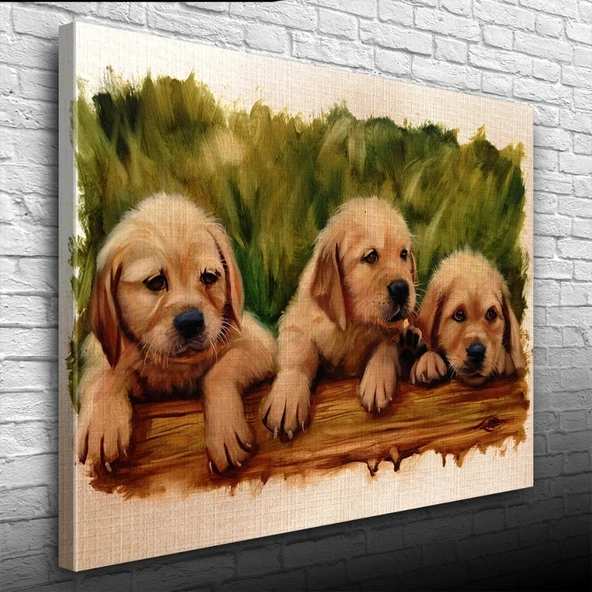 Vexor Şirin Yavru Köpekler Yağlıboya Kanvas Tablo 50 x 70 ürün görseli 1