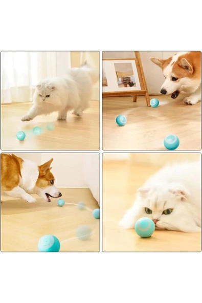 şuşa butik nteraktif Şarjlı Kedi Köpek Topu, Led Akıllı Kedi Topu, Kendinden Hareketli 360 Kedi Oyuncağı ürün görseli 1