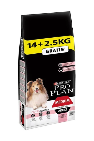 Pro Plan Somon Balıklı Köpek Maması 14 Kg + 2,5 Kg ürün görseli 1