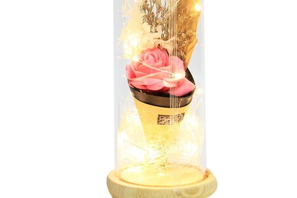Norino Fanus Gül 28/12cm Cam Fanus Led Işıklı Hediyelik ürün görseli 1