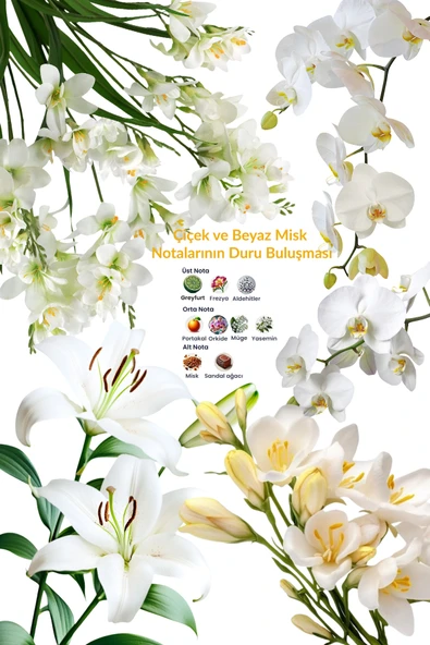 Avon Summer White EDT 50 Ml. Kadın Parfüm - Resim 3
