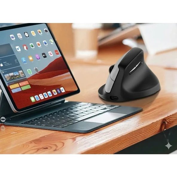 Exonix M1688 Ergonomik Dikey Mouse - Resim 2