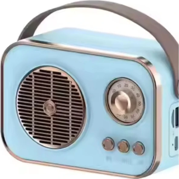 Platoon PL-4641 Bluetooth, Sd, USB Girişli Bluetooth Destekli Type-C Speaker - Resim 5