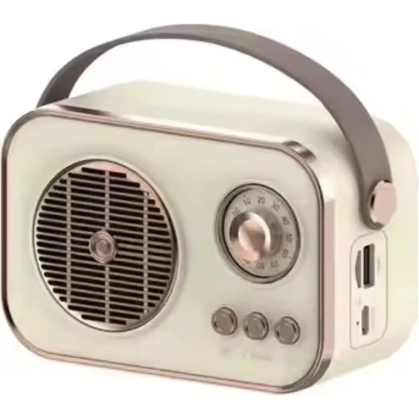 Platoon PL-4641 Bluetooth, Sd, USB Girişli Bluetooth Destekli Type-C Speaker - Resim 4