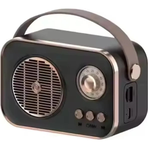 Platoon PL-4641 Bluetooth, Sd, USB Girişli Bluetooth Destekli Type-C Speaker - Resim 3