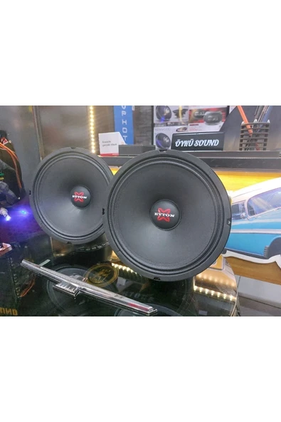 ARSLAN SOUND EYTON 20CM MİDRANGE 200RMS SESİ BAŞARILI ÜRÜN ürün görseli 1