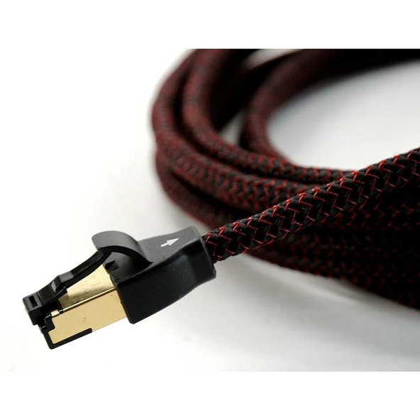 Audioquest Cinnamon RJ/E Ethernet Kablo 3 mt - Resim 3