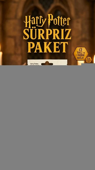 Harry Potter Sürpriz Figür Oyuncak Koleksiyon Kutusu ürün görseli 1